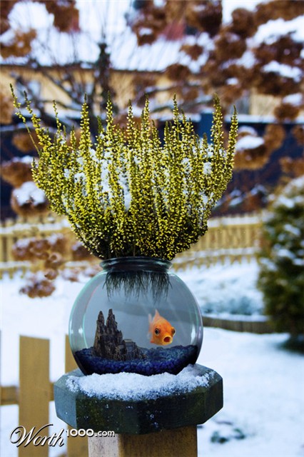 Photoshop Design by SehKraft