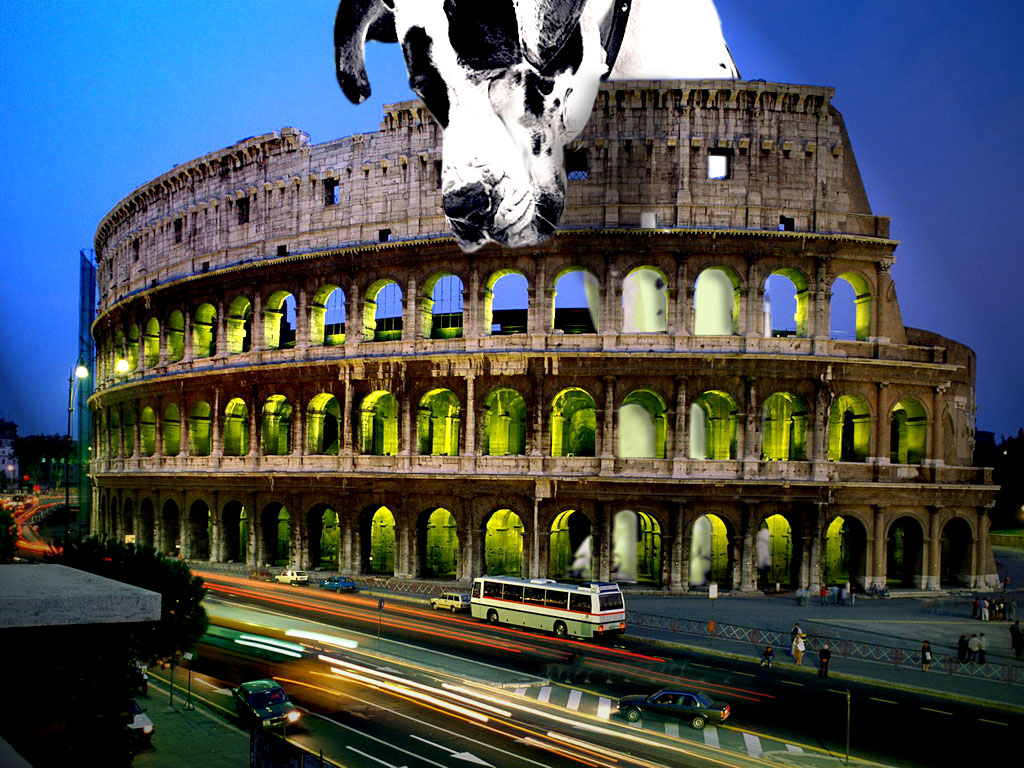 Photoshop Design by MacielBR for DesignCrowd (Community Contests) | Design #8938768