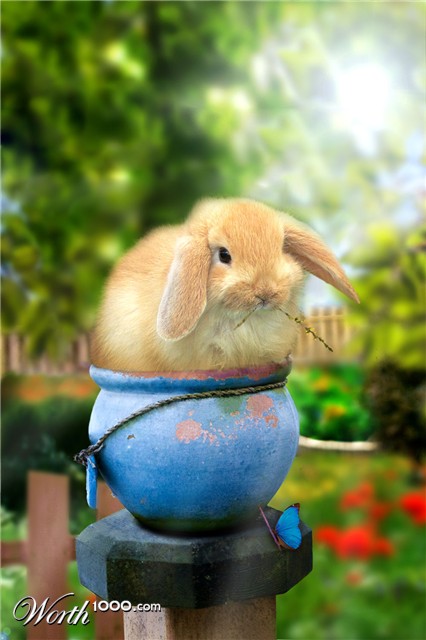 Photoshop Design by MiaWallace