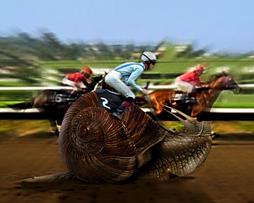 Photoshop Design by Coxwain for DesignCrowd (Community Contests) | Design #8938874