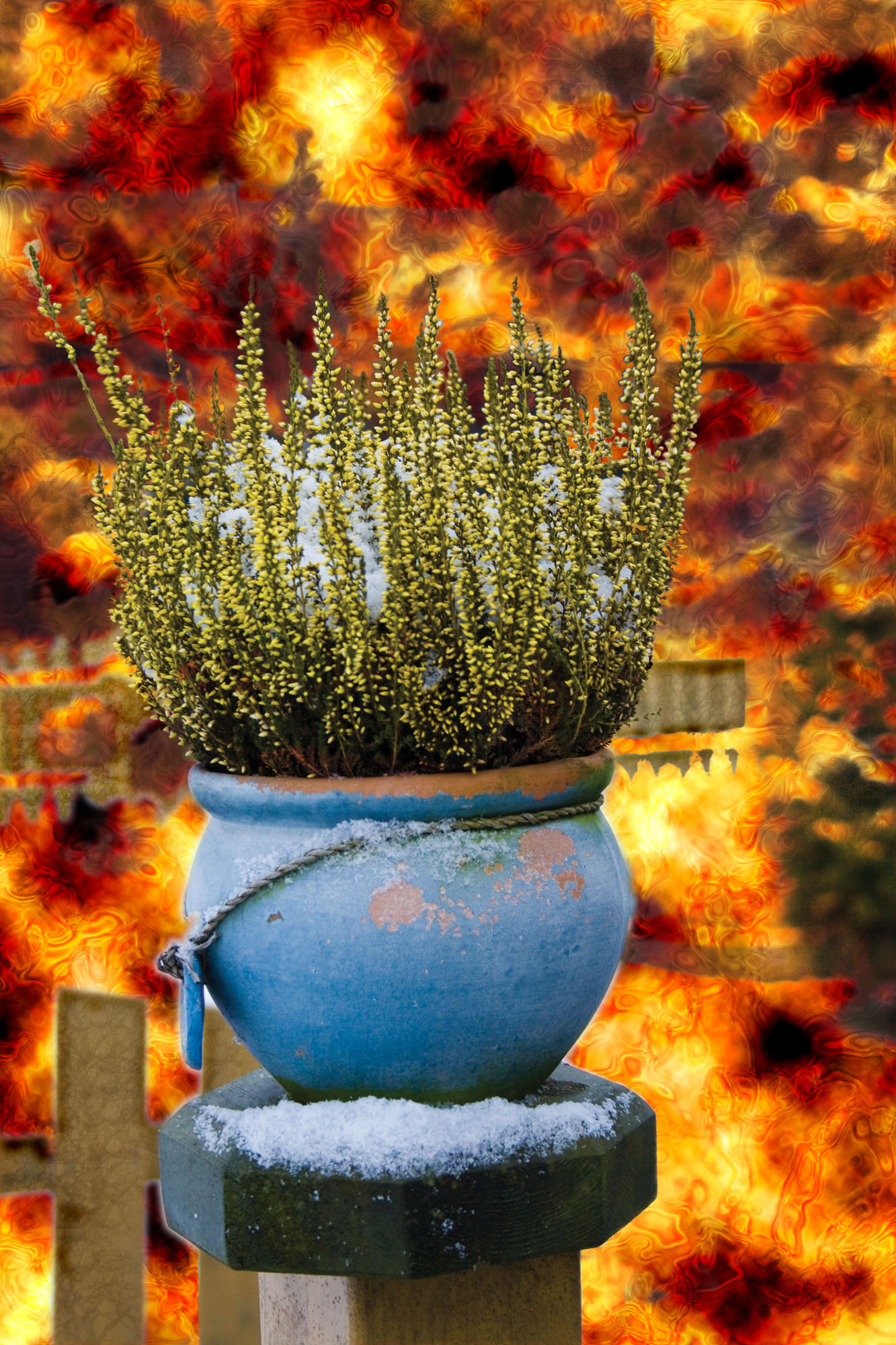 Diseño de Photoshop por dragos para DesignCrowd (Community Contests) | Diseño #8936190