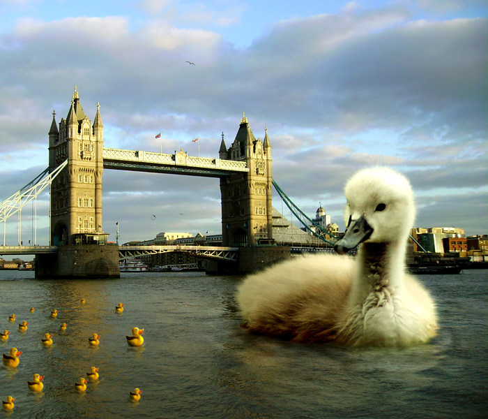 Photoshop Design by Kleston for DesignCrowd (Community Contests) | Design #8938860
