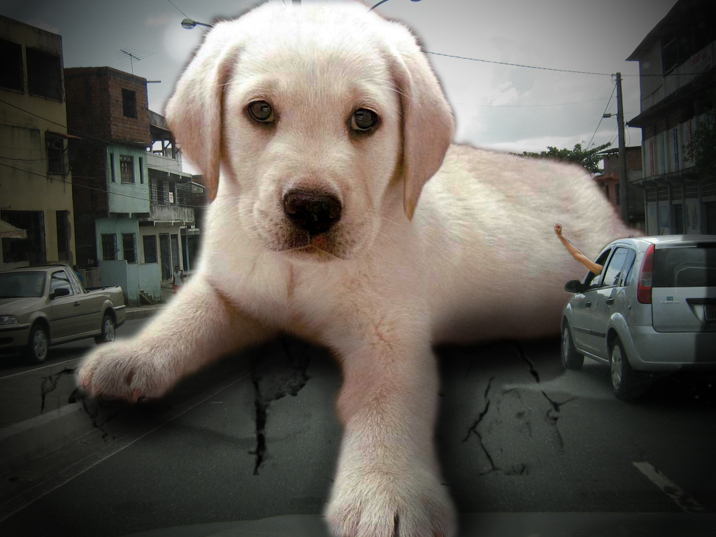 Design Photoshop par douglaseralldo pour DesignCrowd (Community Contests) | Design #8938854