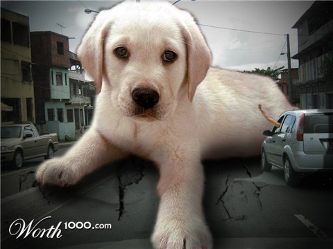 Photoshop Design by douglaseralldo