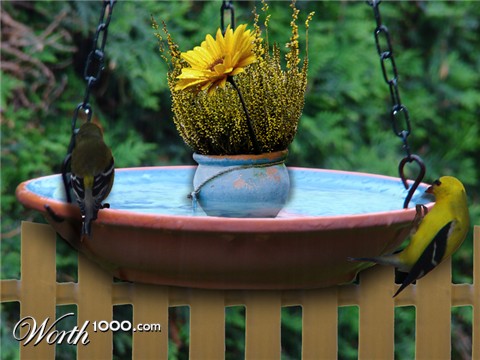 Photoshop Design by janefrog