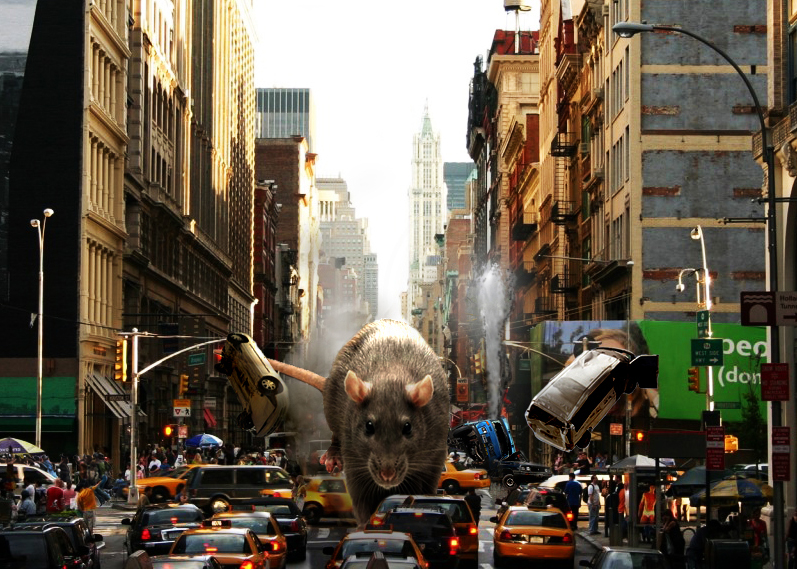 Photoshop Design by riddle for DesignCrowd (Community Contests) | Design #8938850