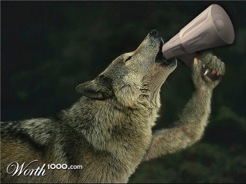 Photoshop Design by hektormz