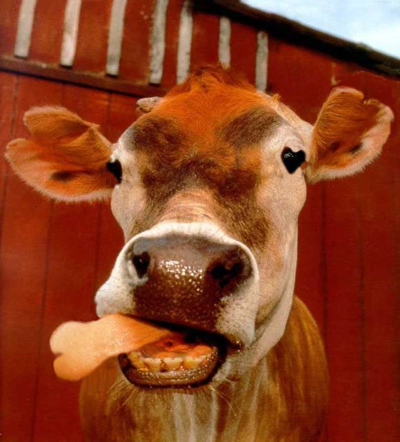 Photoshop Design by HopFrog for DesignCrowd (Community Contests) | Design #8937288