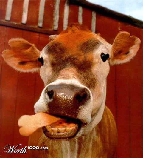 Photoshop Design by HopFrog