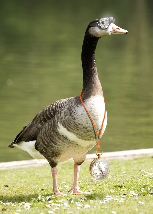 Photoshop Design by Troetti for DesignCrowd (Community Contests) | Design #8938669