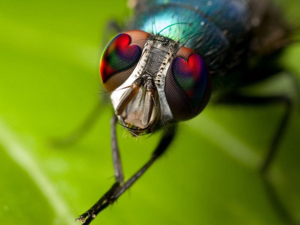 Diseño de Photoshop por vinoood para DesignCrowd (Community Contests) | Diseño #8937388