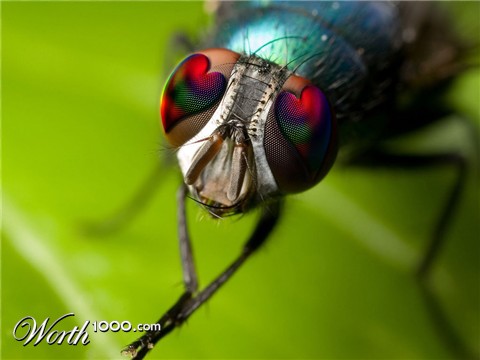 Photoshop Design by vinoood