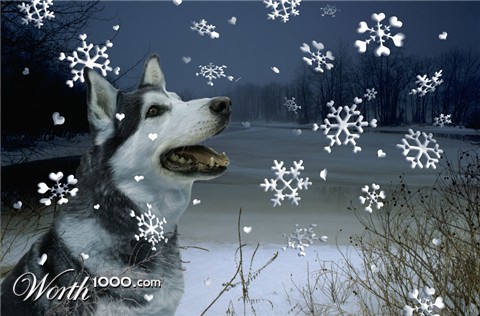 Photoshop Design by lroger01