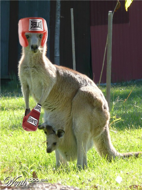 Photoshop Design by jtzag18