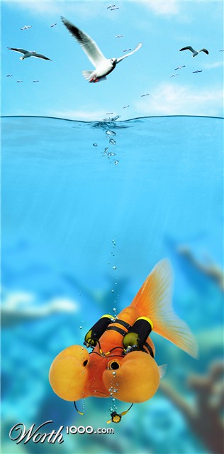 Photoshop Design by R-evolution GFX