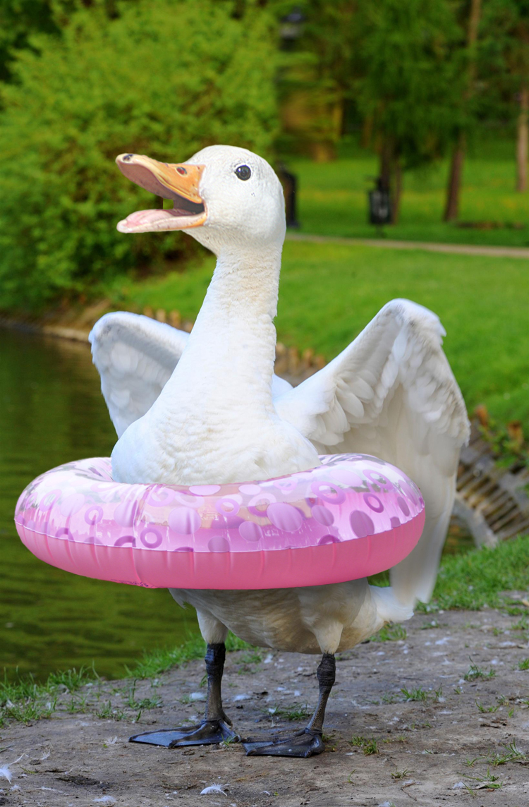 Photoshop-Design von bicyclewilli für DesignCrowd (Community Contests) | Design #8938714