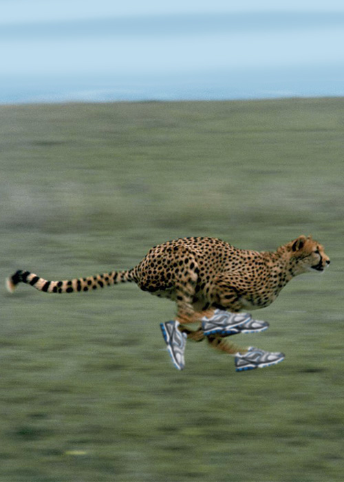 Diseño de Photoshop por timboyle para DesignCrowd (Community Contests) | Diseño #8938735