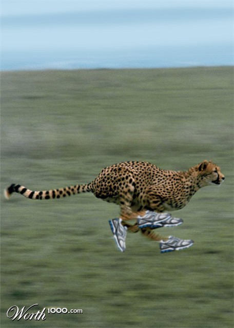 Photoshop Design by timboyle