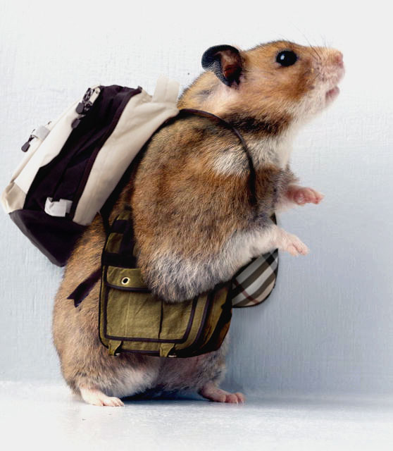 Photoshop-Design von kitryne für DesignCrowd (Community Contests) | Design #8938694