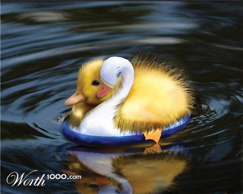 Photoshop Design by furfree