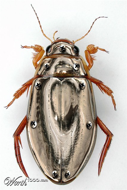 Photoshop Design by DaemonDCLXVI