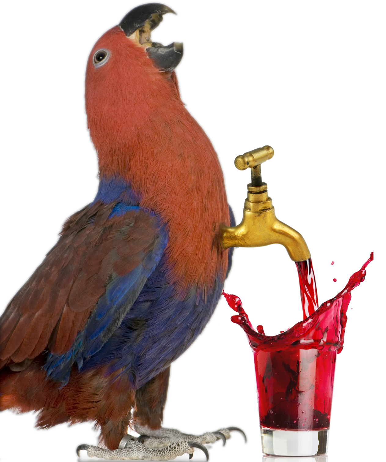 Photoshop-Design von JuniorWences für DesignCrowd (Community Contests) | Design #8936048