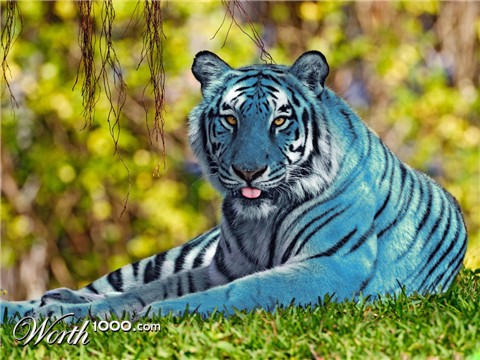 Photoshop Design by watschi