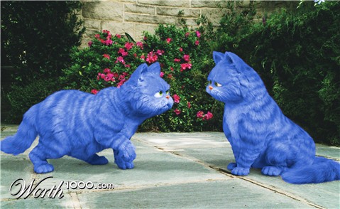 Photoshop Design by Roseiro