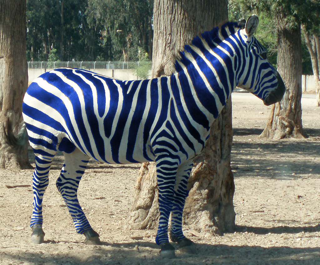 Design Photoshop par johnny0607 pour DesignCrowd (Community Contests) | Design #8936045