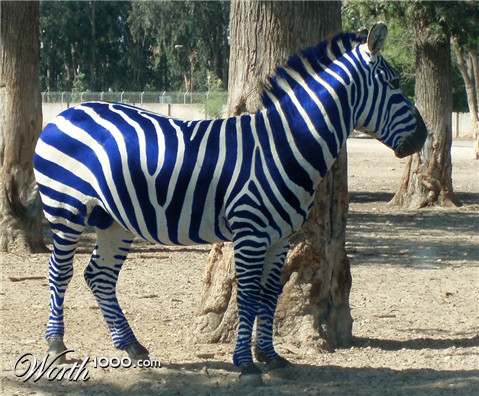 Photoshop Design by johnny0607