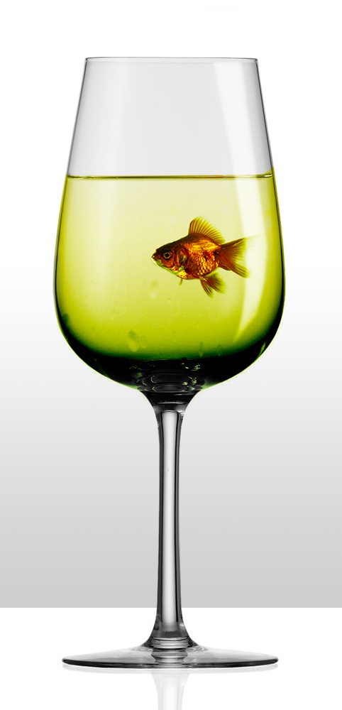 Photoshop-Design von DaemonDCLXVI für DesignCrowd (Community Contests) | Design #8936238