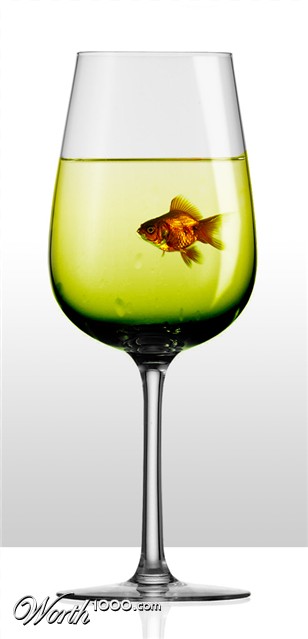 Photoshop Design by DaemonDCLXVI