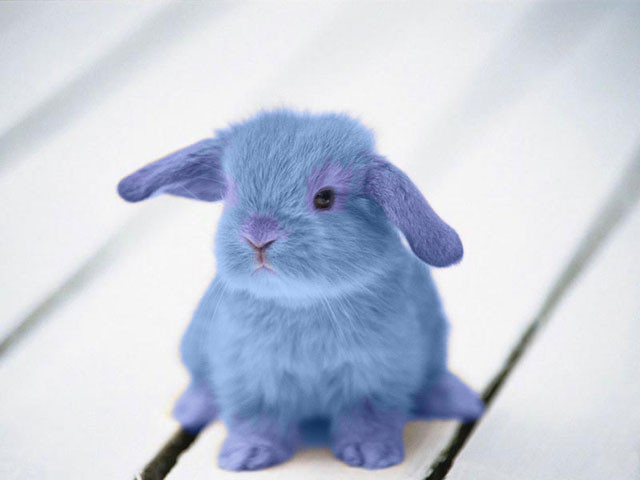 Photoshop-Design von Sillyboi für DesignCrowd (Community Contests) | Design #8936151