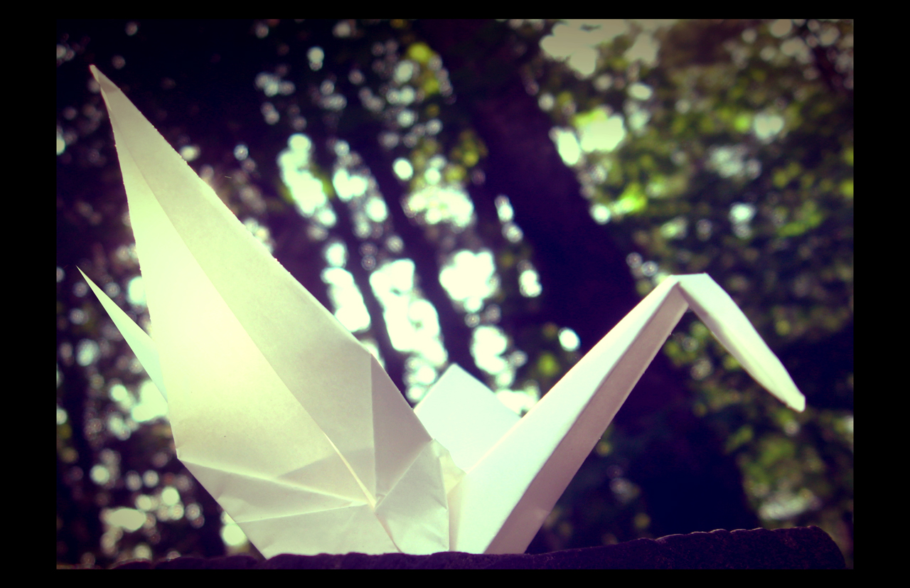 Fotografie von megrandy für DesignCrowd (Community Contests) | Design #8936465