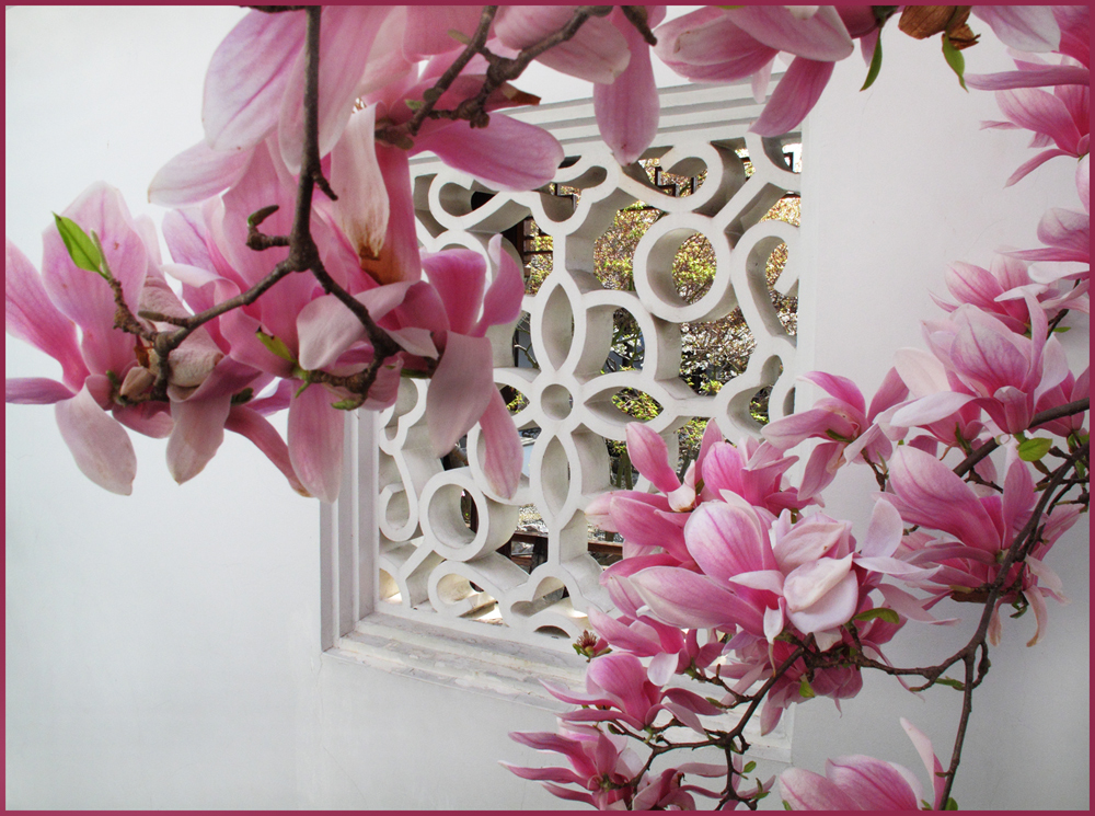 Photography by sculptor999 for DesignCrowd (Community Contests) | Design #8936461