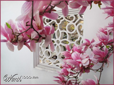 Photography by sculptor999