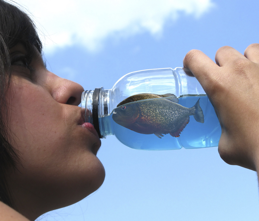 Photoshop-Design von sunny2Day für DesignCrowd (Community Contests) | Design #8936330