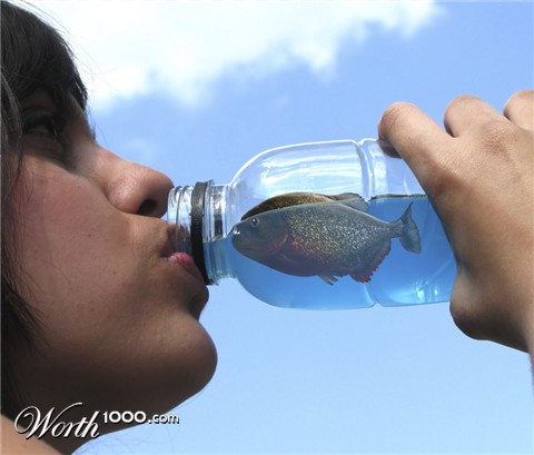 Photoshop Design by sunny2Day