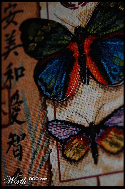 Photography by zill90