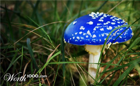 Photoshop Design by MiaWallace