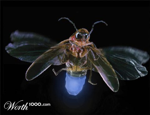 Photoshop Design by Asrayia