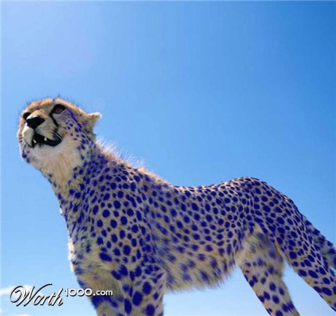 Photoshop Design by raydar4567