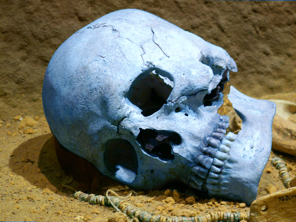 Photoshop Design by DutchPuh for DesignCrowd (Community Contests) | Design #8936291