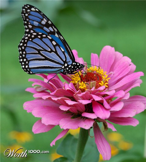 Photoshop Design by snakebit