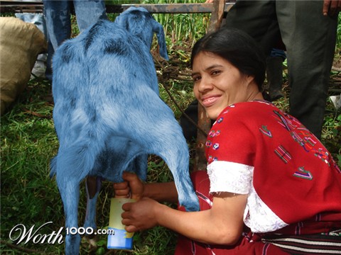Photoshop Design by snipaa