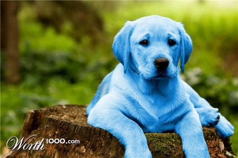 Photoshop Design by mikemuggles