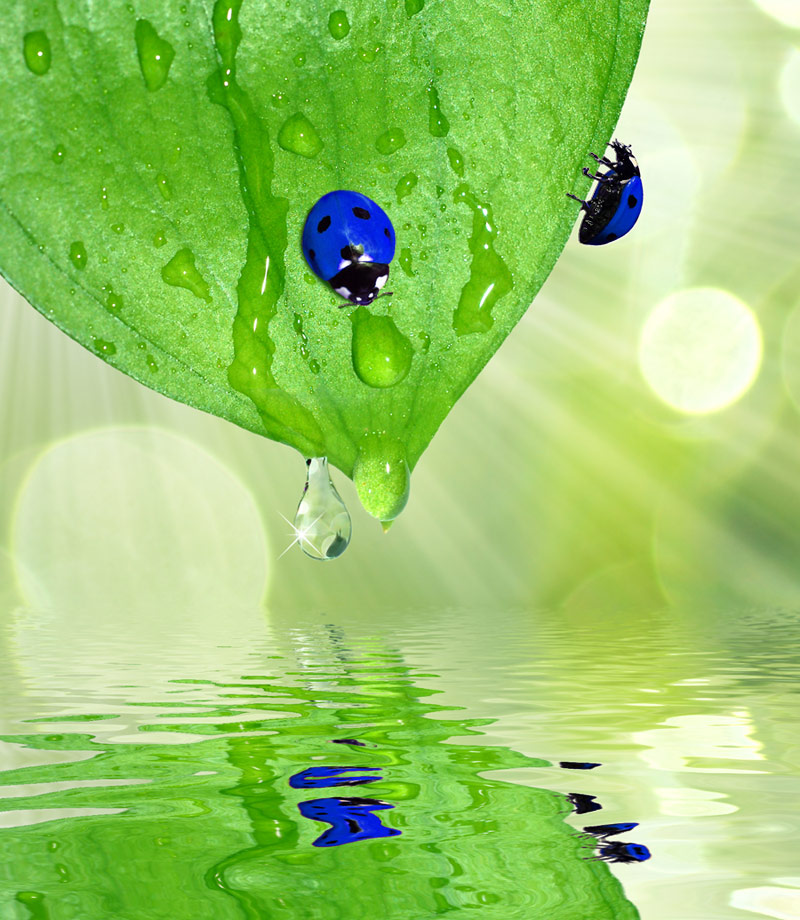 Photoshop Design by artluverr1967 for DesignCrowd (Community Contests) | Design #8936284