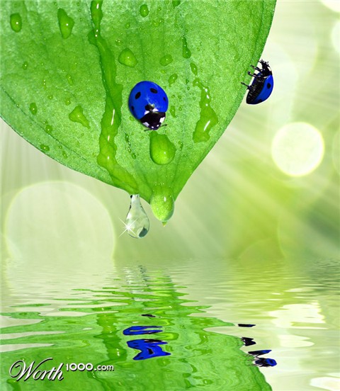 Photoshop Design by artluverr1967