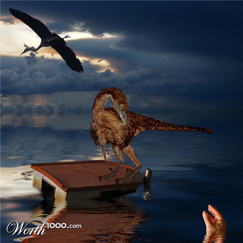 Photoshop Design by StephenF