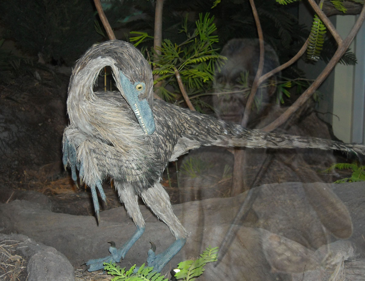 Photoshop-Design von frank1956 für DesignCrowd (Community Contests) | Design #8935827